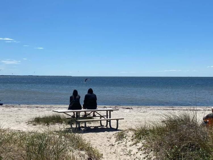 Böylesi hiç görülmemişti! Demirden dişleri var 13