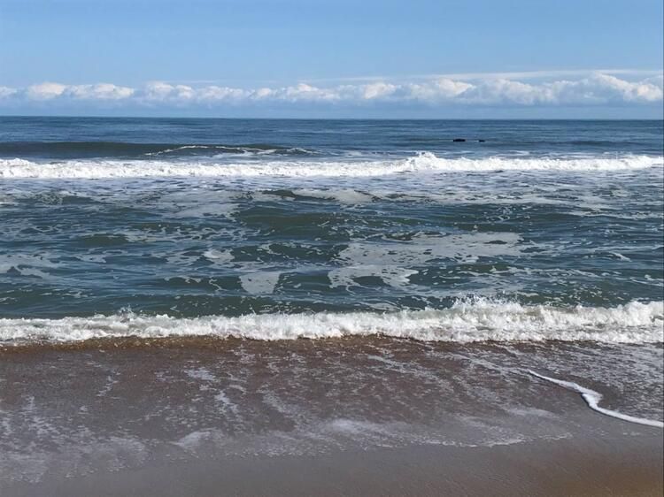 Böylesi hiç görülmemişti! Demirden dişleri var 12