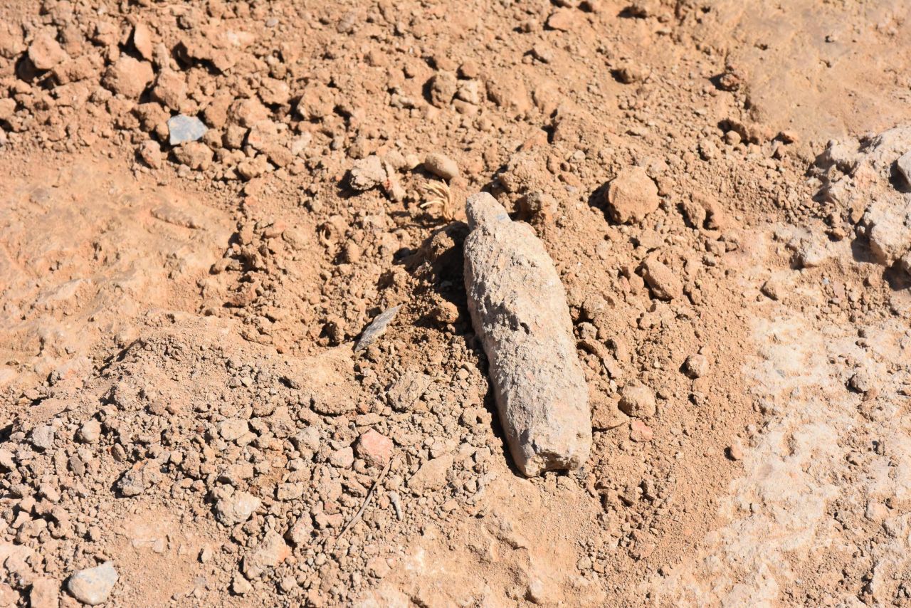 Antik yerleşimde yılın ilk kazılarında 8 bin 500 yıllık buluntu 2