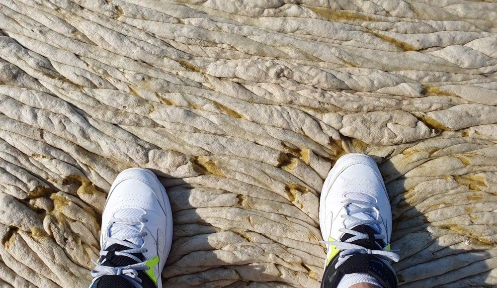 Deniz salyasının yoğunluğu böyle görüntülendi 5