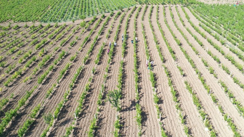 ‘Erbaa’yı marka şehir yapacağız’ 8