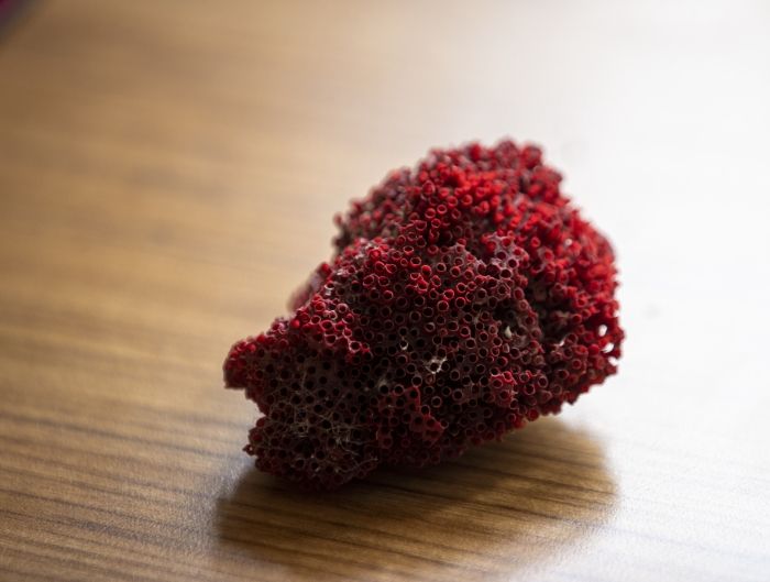 Suda kaynatıp içti, entübe edildi! Zehir saçıyor 3