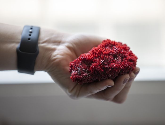 Suda kaynatıp içti, entübe edildi! Zehir saçıyor 4