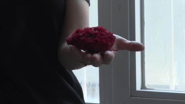 Suda kaynatıp içti, entübe edildi! Zehir saçıyor 6