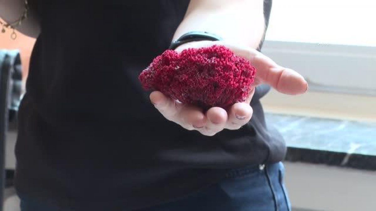 Suda kaynatıp içti, entübe edildi! Zehir saçıyor 7