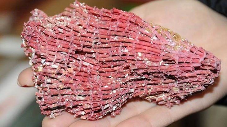 Suda kaynatıp içti, entübe edildi! Zehir saçıyor 9