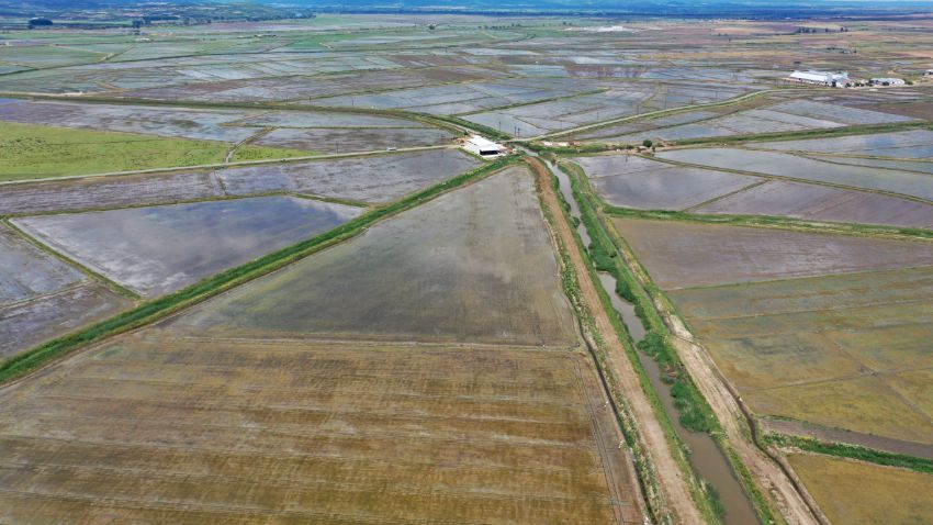 Doktorluğu bırakıp başladı, bebek gibi bakıyor 5