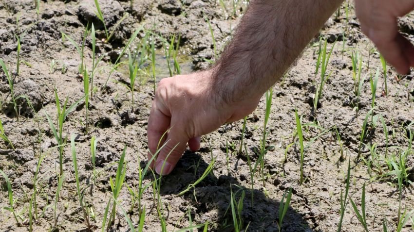 Doktorluğu bırakıp başladı, bebek gibi bakıyor 7