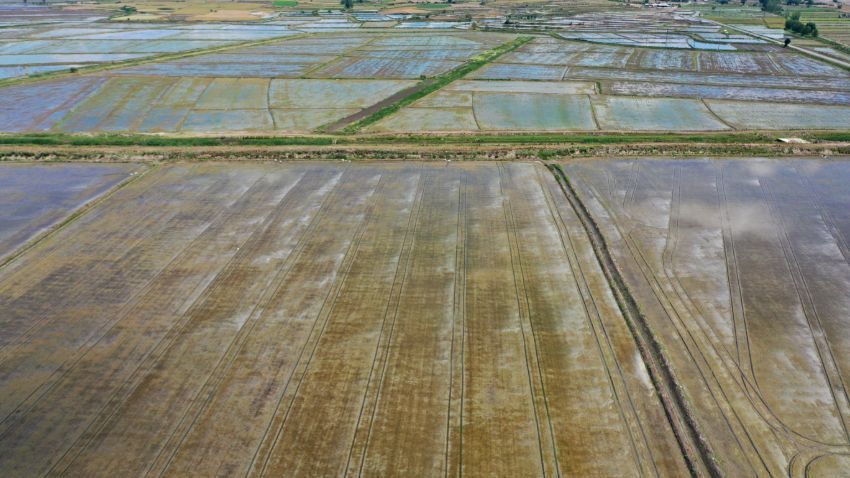 Doktorluğu bırakıp başladı, bebek gibi bakıyor 12