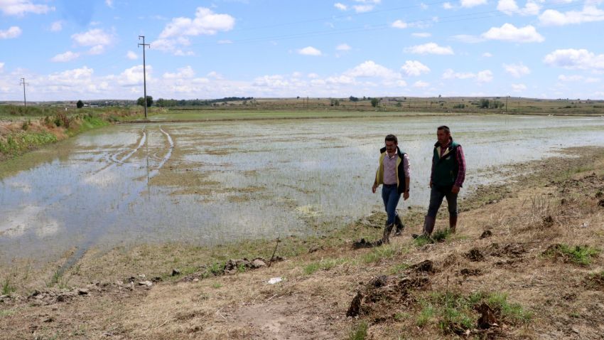 Doktorluğu bırakıp başladı, bebek gibi bakıyor 13