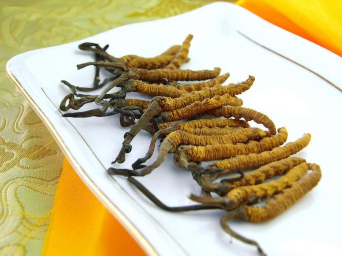 Dünyanın en değerlisi! Kilosu 140 bin dolar 10