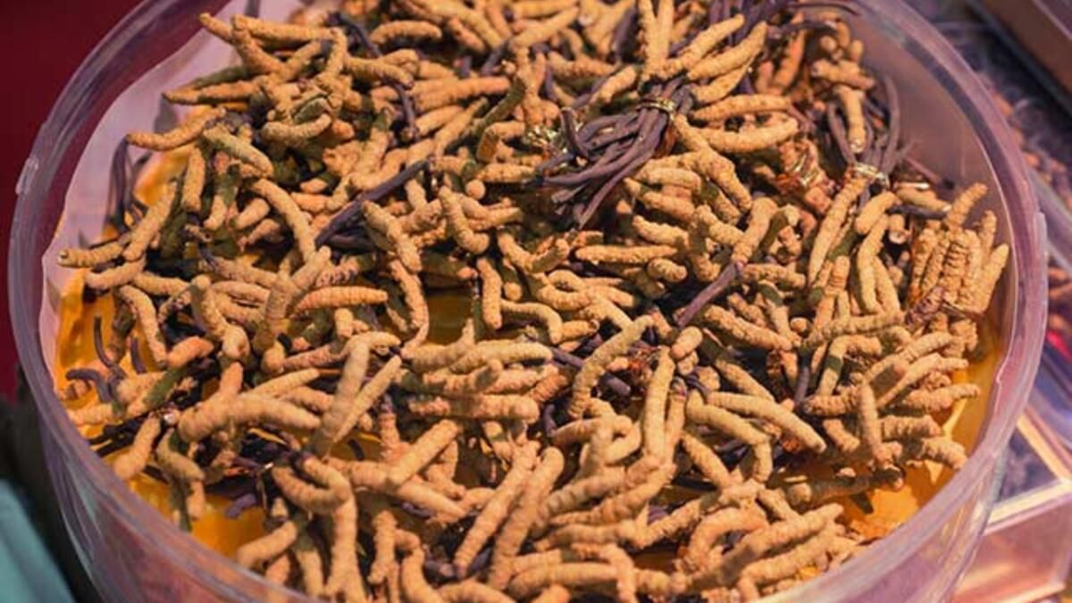 Dünyanın en değerlisi! Kilosu 140 bin dolar 2