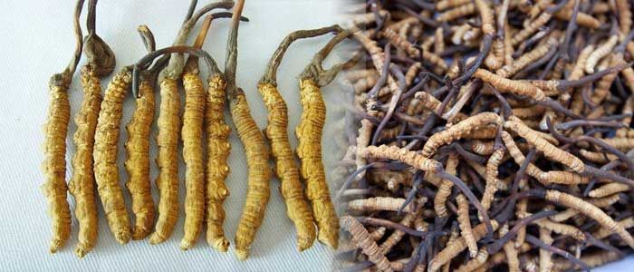 Dünyanın en değerlisi! Kilosu 140 bin dolar 9