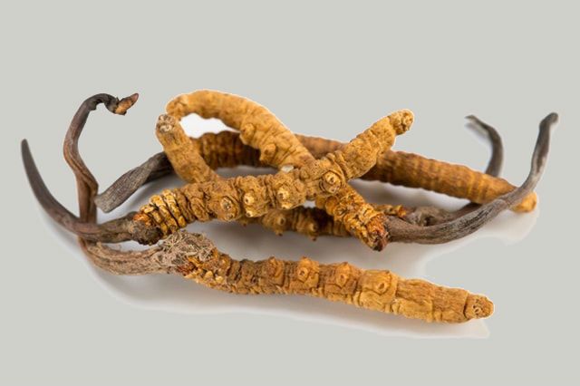 Dünyanın en değerlisi! Kilosu 140 bin dolar 7