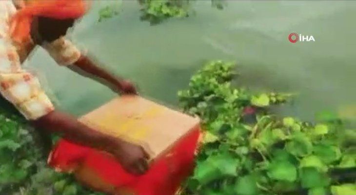 Nehirde yüzen sandıktan bakın ne çıktı! Dünyayı şoke olay 3