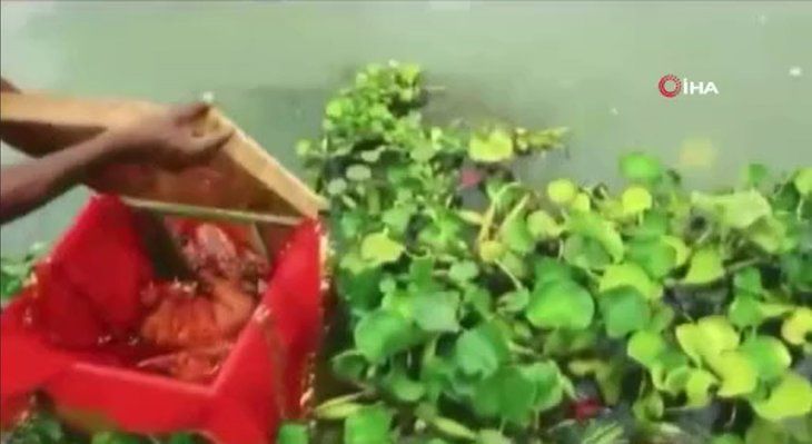 Nehirde yüzen sandıktan bakın ne çıktı! Dünyayı şoke olay 4