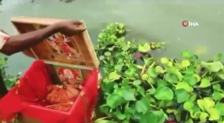 Nehirde yüzen sandıktan bakın ne çıktı! Dünyayı şoke olay 5