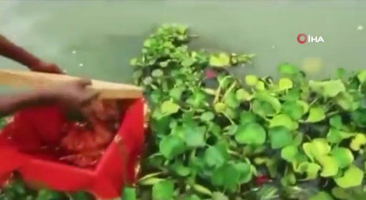 Nehirde yüzen sandıktan bakın ne çıktı! Dünyayı şoke olay 6