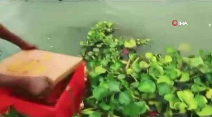 Nehirde yüzen sandıktan bakın ne çıktı! Dünyayı şoke olay 7