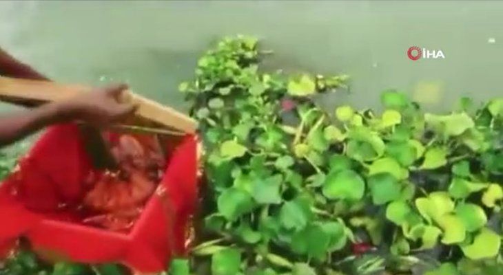 Nehirde yüzen sandıktan bakın ne çıktı! Dünyayı şoke olay 10