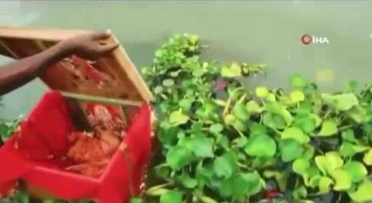 Nehirde yüzen sandıktan bakın ne çıktı! Dünyayı şoke olay 11