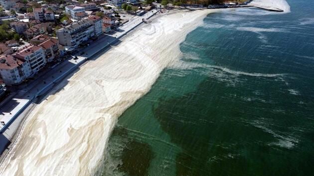 Raporda ortaya çıktı! İşte deniz salyasının nedeni 5