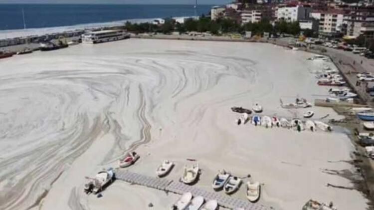 Raporda ortaya çıktı! İşte deniz salyasının nedeni 2