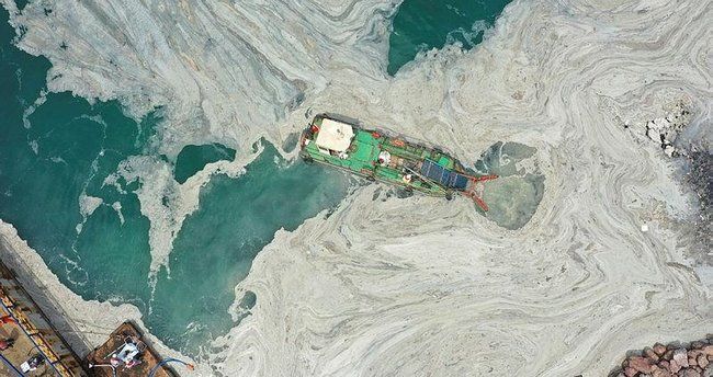 Raporda ortaya çıktı! İşte deniz salyasının nedeni 4