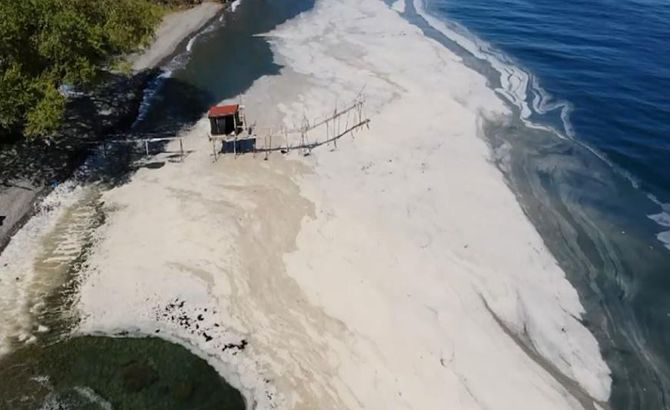 Raporda ortaya çıktı! İşte deniz salyasının nedeni 8