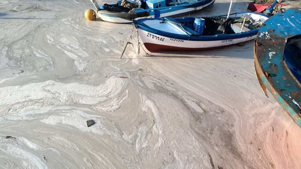 Raporda ortaya çıktı! İşte deniz salyasının nedeni 9