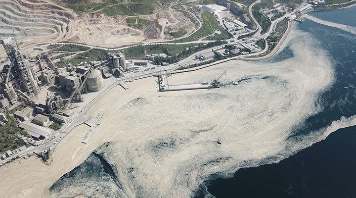 Raporda ortaya çıktı! İşte deniz salyasının nedeni 11