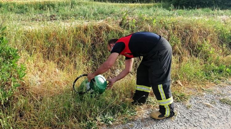 Eve girince gözlerine inanamadı 14
