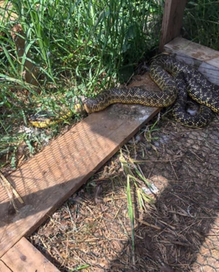 Eve girince gözlerine inanamadı 7