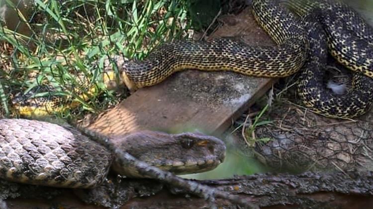Eve girince gözlerine inanamadı 6