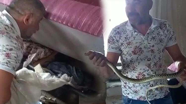 Eve girince gözlerine inanamadı 2