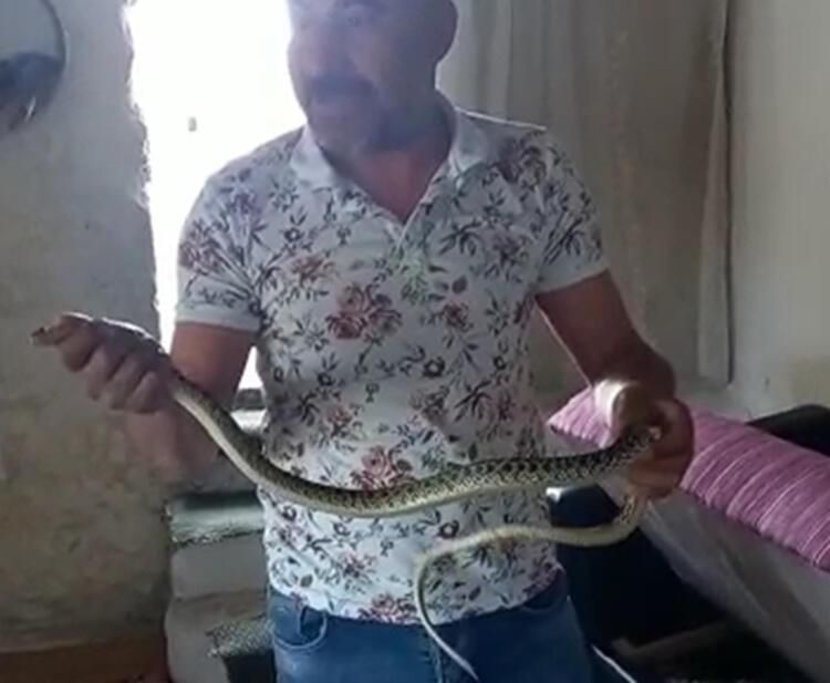 Eve girince gözlerine inanamadı 4