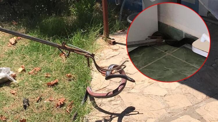 Eve girince gözlerine inanamadı 1