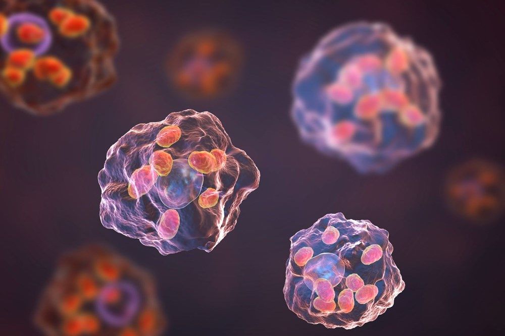 Et yiyen parazit alarmı! Türkiye'de de görüldü 4