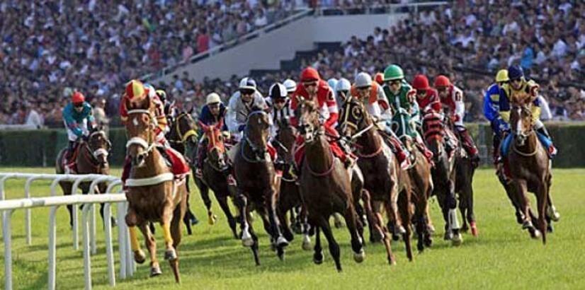 Gazi Koşusu ne zaman yapılacak 2021? İşte 95. Gazi Koşusu'nun tarihi 1