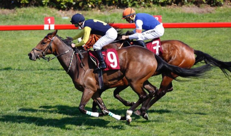 Gazi Koşusu ne zaman yapılacak 2021? İşte 95. Gazi Koşusu'nun tarihi 5