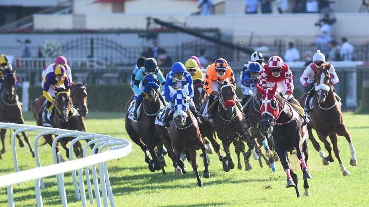 Gazi Koşusu ne zaman yapılacak 2021? İşte 95. Gazi Koşusu'nun tarihi 7