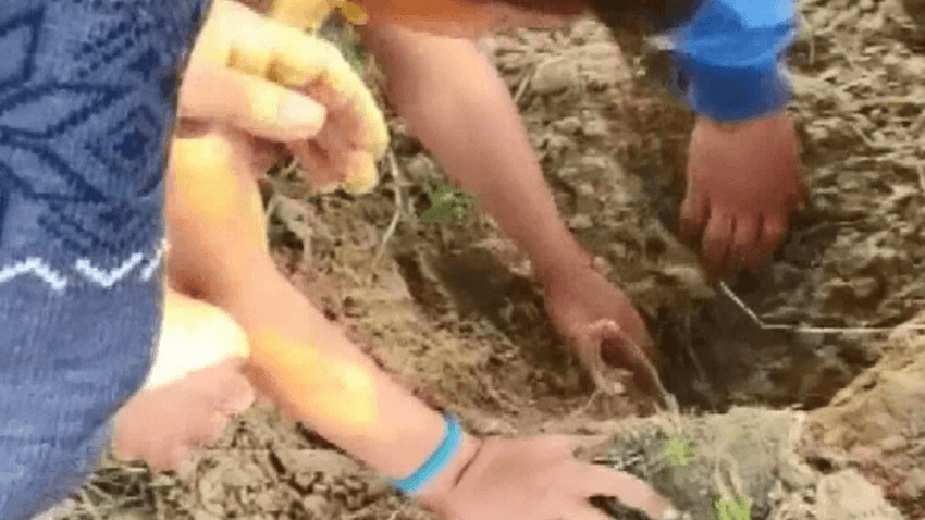 Çocukların duyduğu ses hayat kurtardı 4