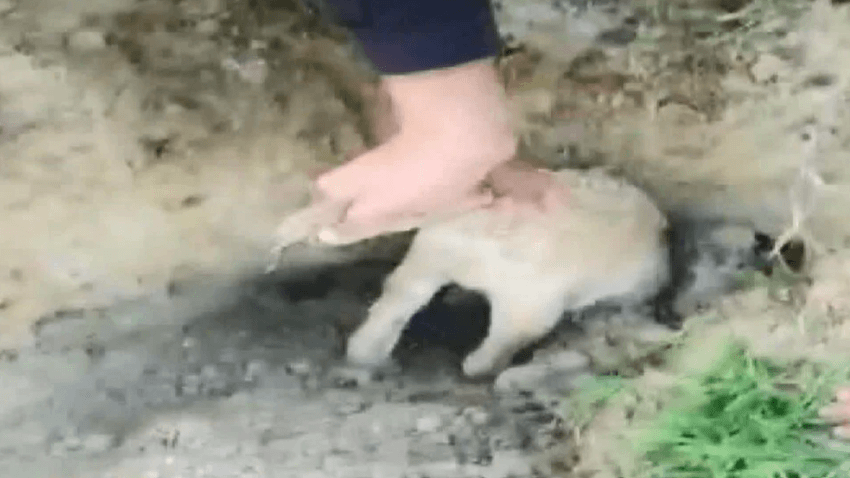 Çocukların duyduğu ses hayat kurtardı 3