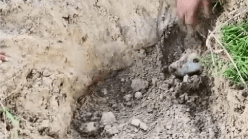 Çocukların duyduğu ses hayat kurtardı 1