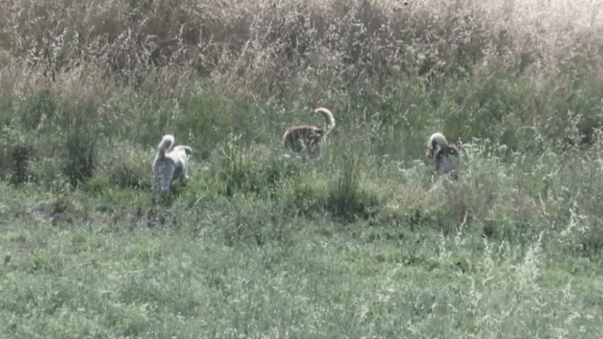 Çocukların duyduğu ses hayat kurtardı 5