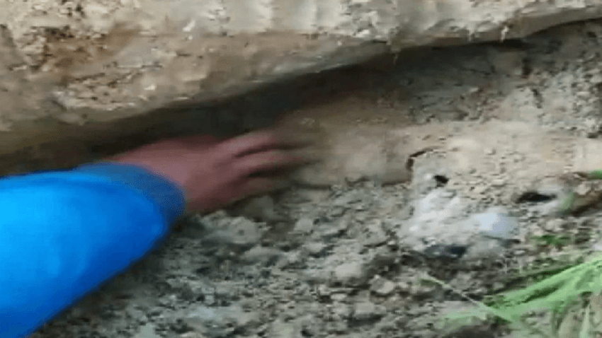 Çocukların duyduğu ses hayat kurtardı 2