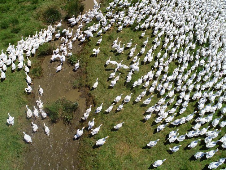 Cumhurbaşkanı Erdoğan'ı dinledi! Bakın neler oldu 20