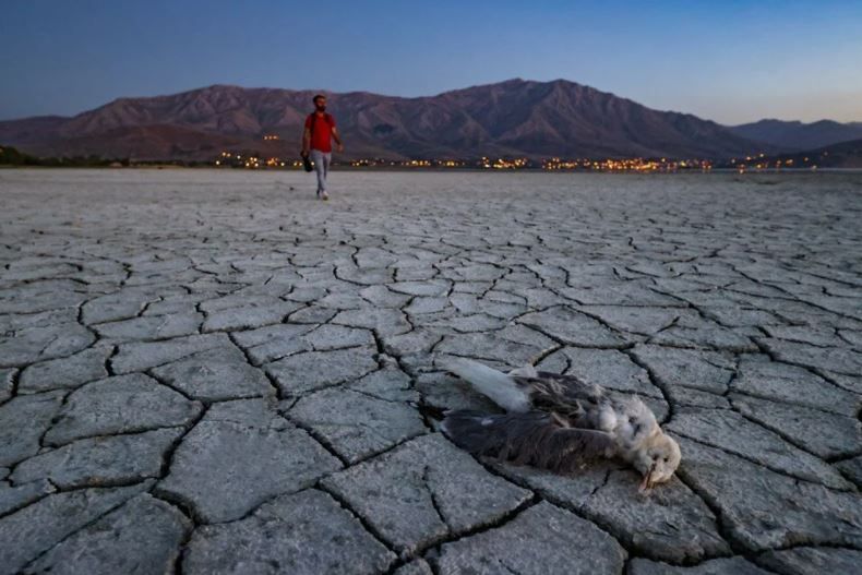 Kuraklık o gölü de vurdu:  'Acil önlem' çağrısı geldi 10