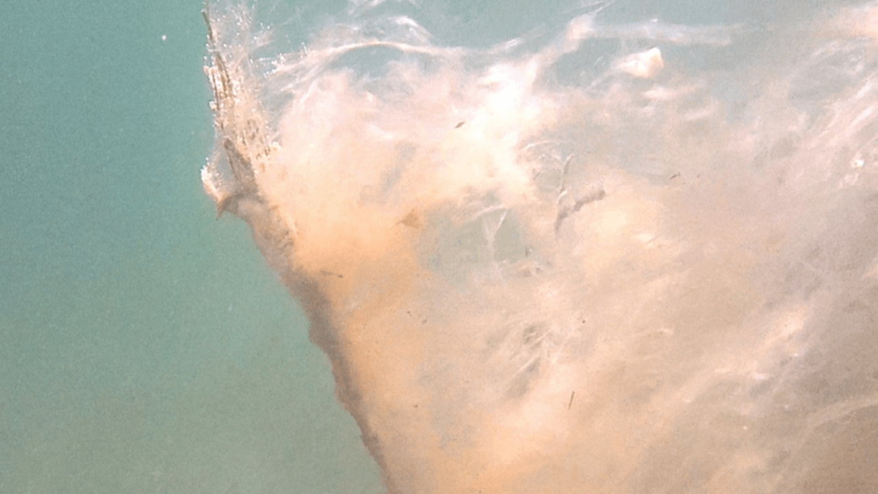 Müsilajın neden olduğu tahribat böyle görüntülendi! 3