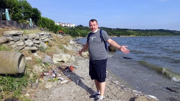 Ölü balıklar sahile vurdu, bölge halkı endişe ve panik içinde! 3